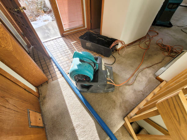 Best Professional water damage repair  in Coralville, IA