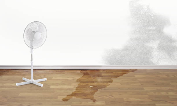 Trusted IA Water damage restoration Experts