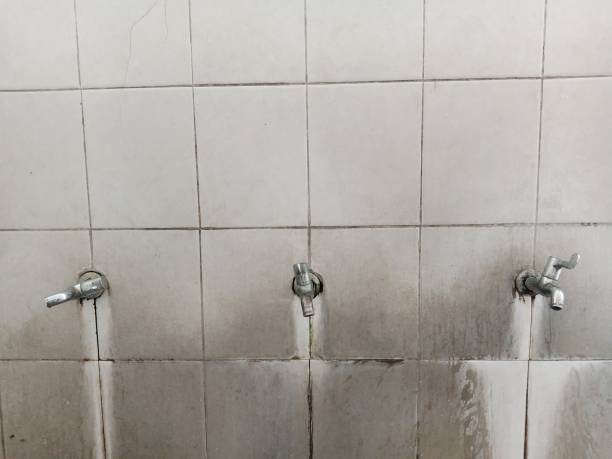 Best Basement water damage restoration  in Coralville, IA