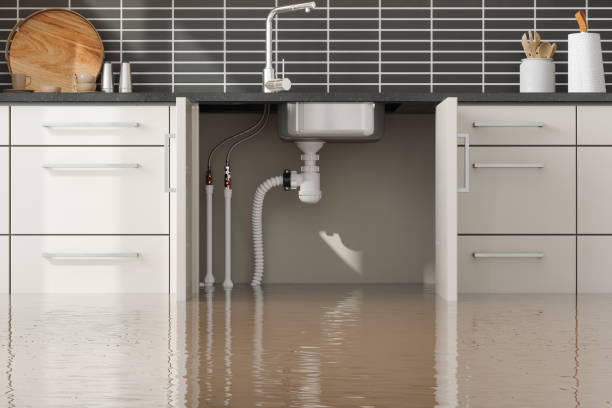 Best Carpet water damage restoration  in Coralville, IA